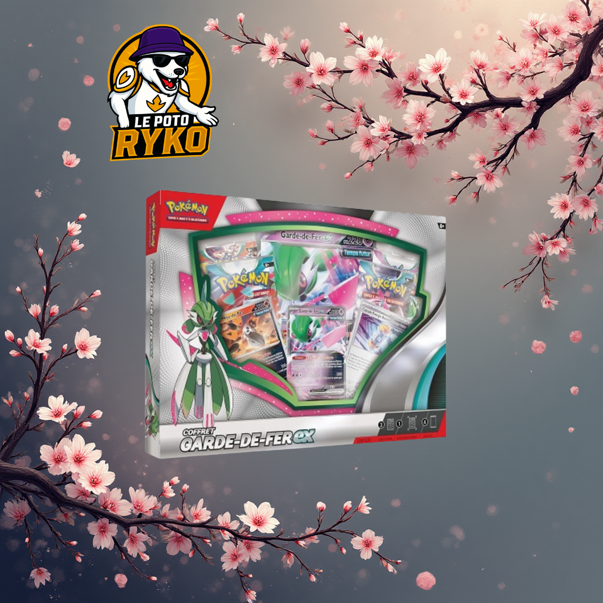 Pokemon - Coffret - 4 boosters - GARDE-DE-FER EX - ABIMEE