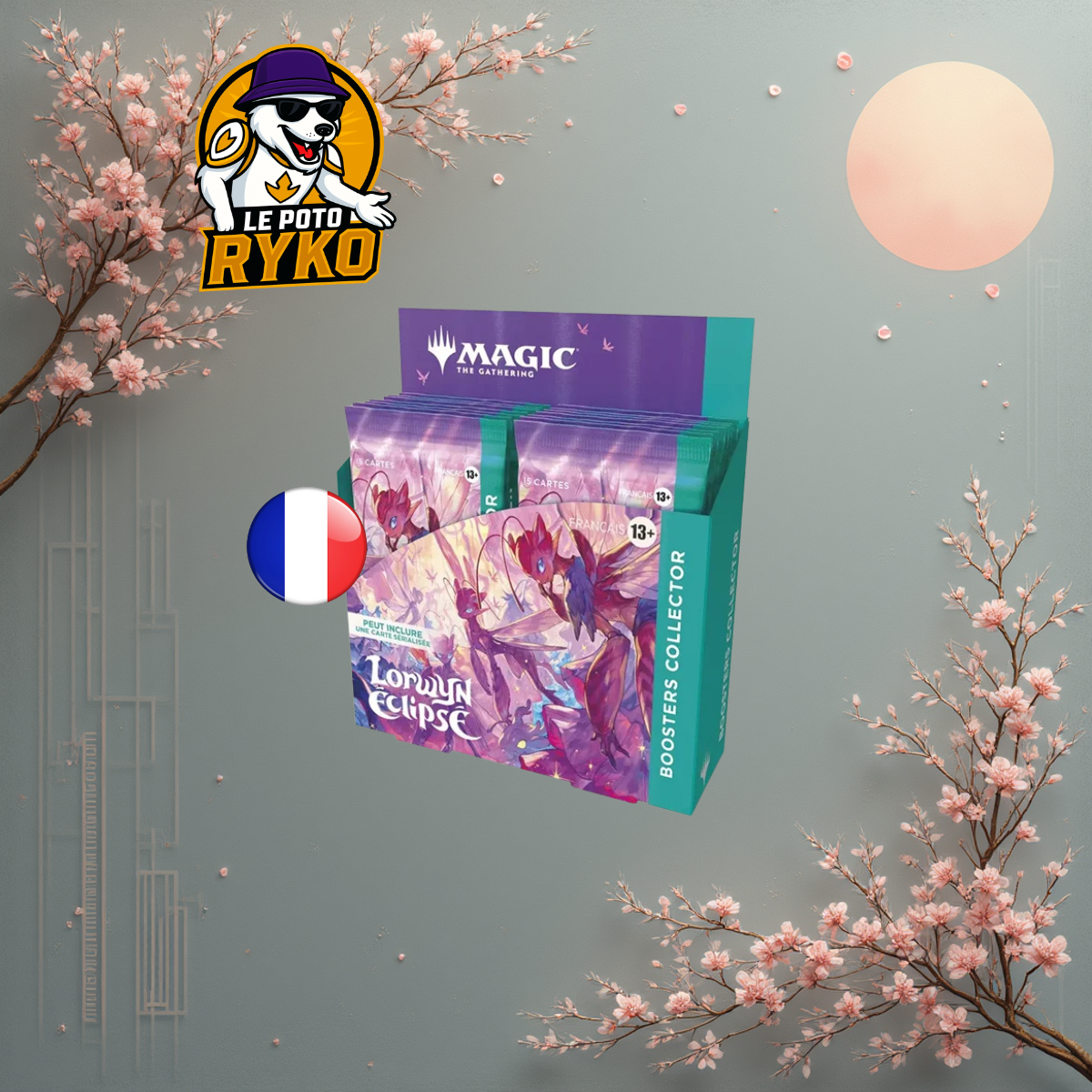 Display 24 booster - One piece - OP-12 - Master and Student Bond - Japanese