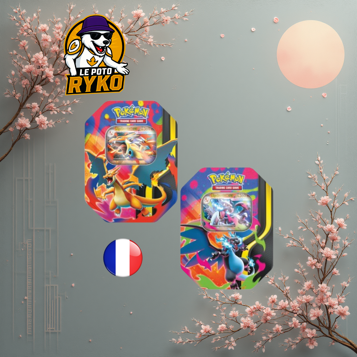 Pokémon - PokeBox - MDracaufeu X/Y - Français