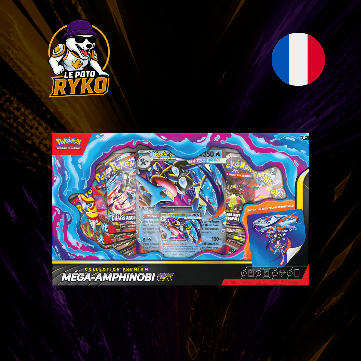 POKEMON – Coffret – Méga-Amphinobie-ex – FR