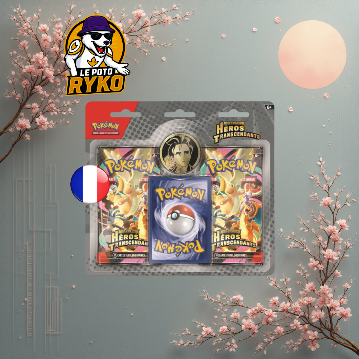 Display Mega Brave - M1L - Japanese