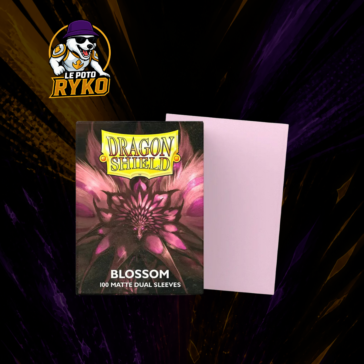 Dragon Shield - Sleeves Format Standard (100 Sleeves) - Choisissez votre couleur !
