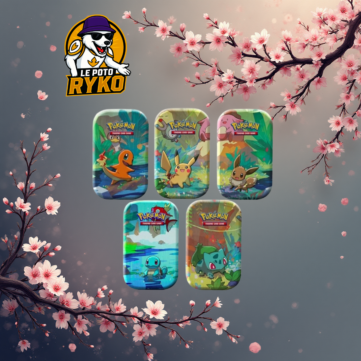 Pokemon - Pokebox - Mini-Pokébox "Kanto Friends" x1 FR