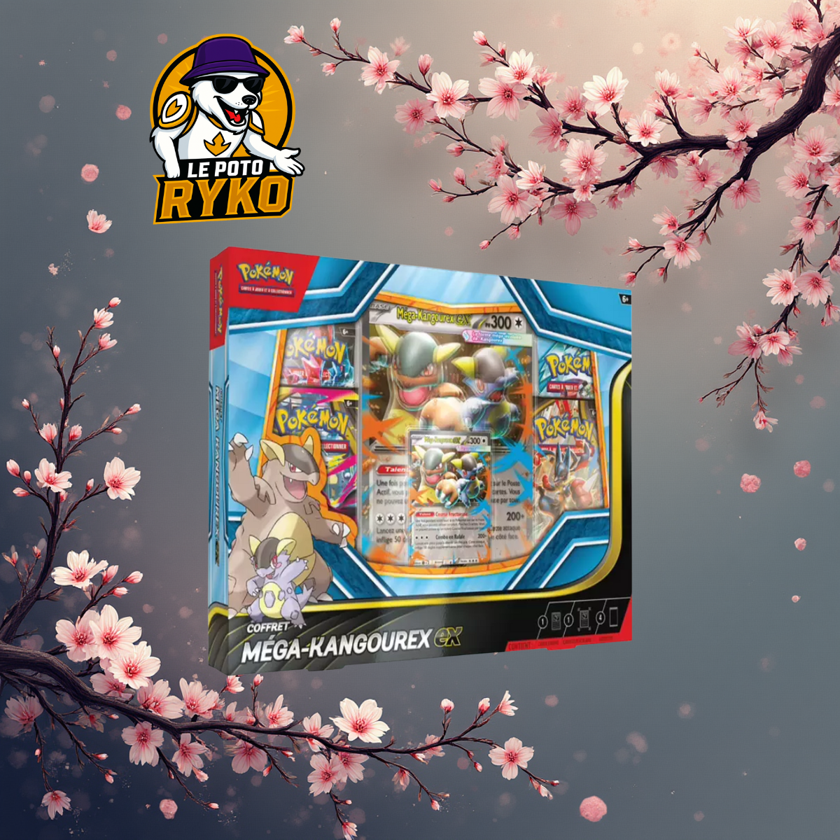 Pokemon - Coffret - 4 boosters - Méga-Kangourex-Ex