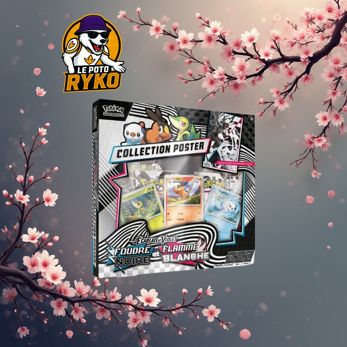 Pokemon - Coffret - 4 boosters - Foudre Noire & Flamme Blanche