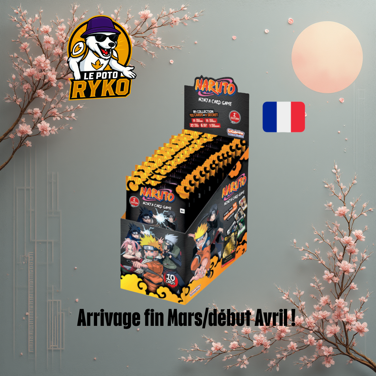 Display - Naruto TCG : Premier set - 2e édition - 24 Boosters - FRANCAIS
