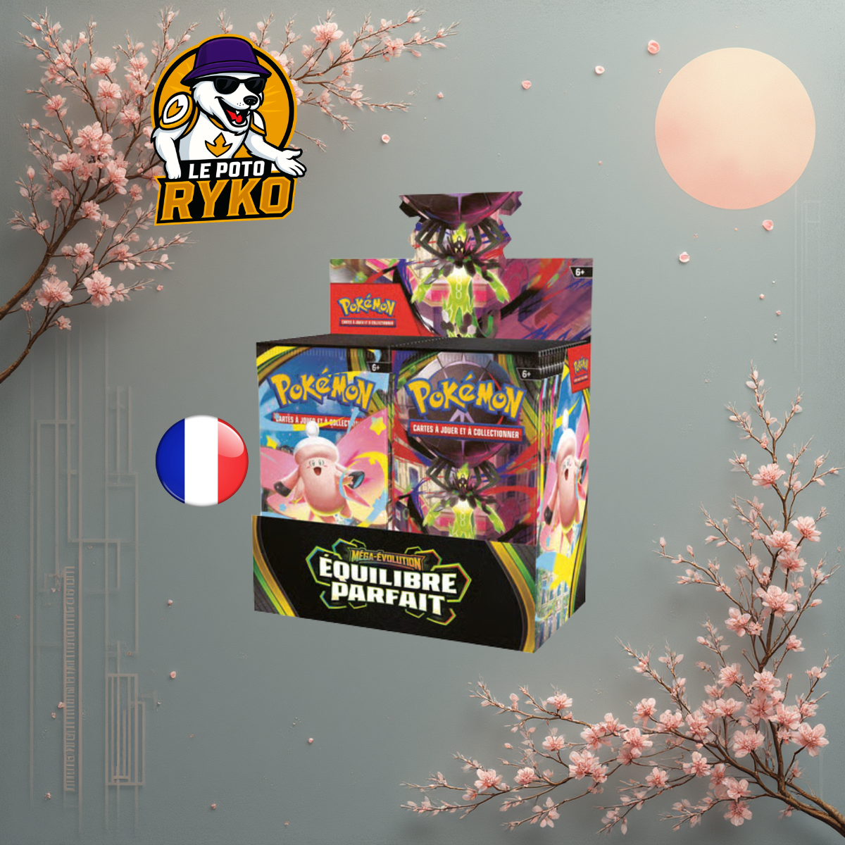 Display Mega Brave - M1L - Japanese