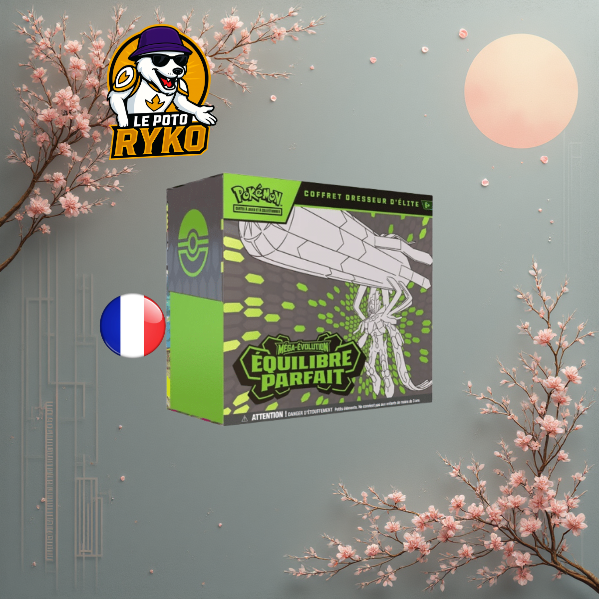 Display Mega Brave - M1L - Japanese