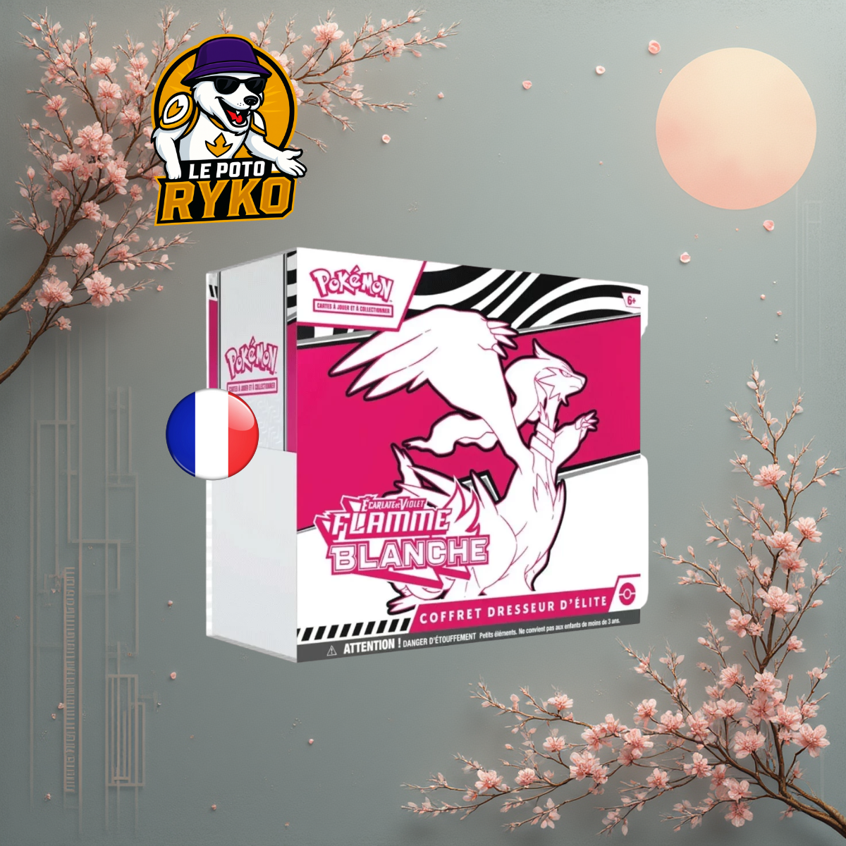 Display Mega Brave - M1L - Japanese