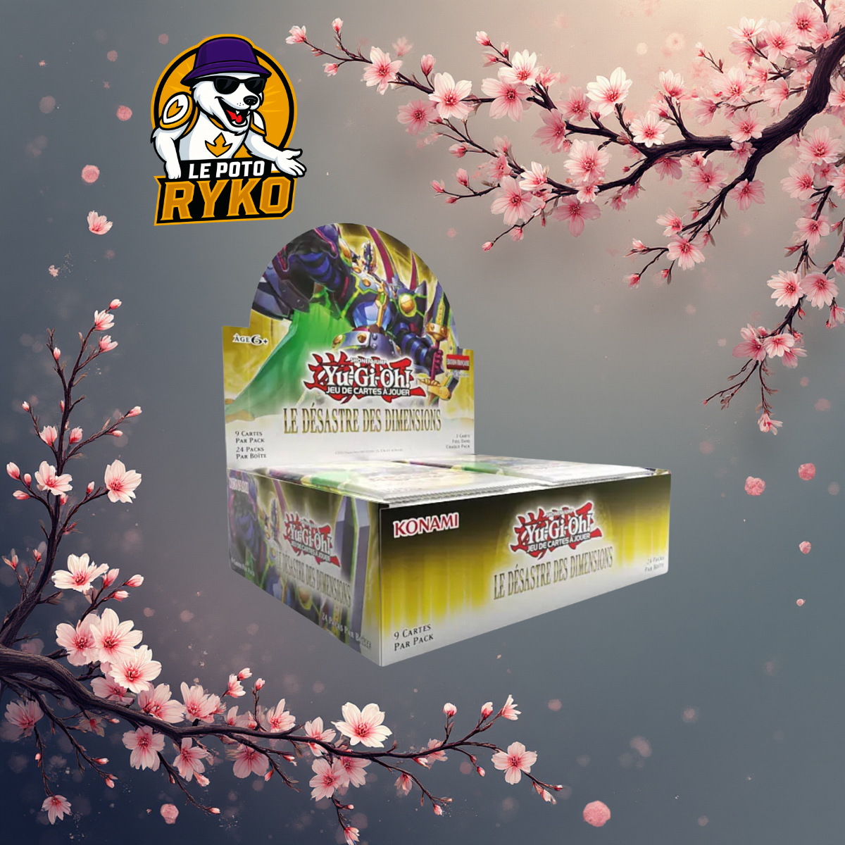 Display 24 booster - One piece - OP-12 - Master and Student Bond - Japanese