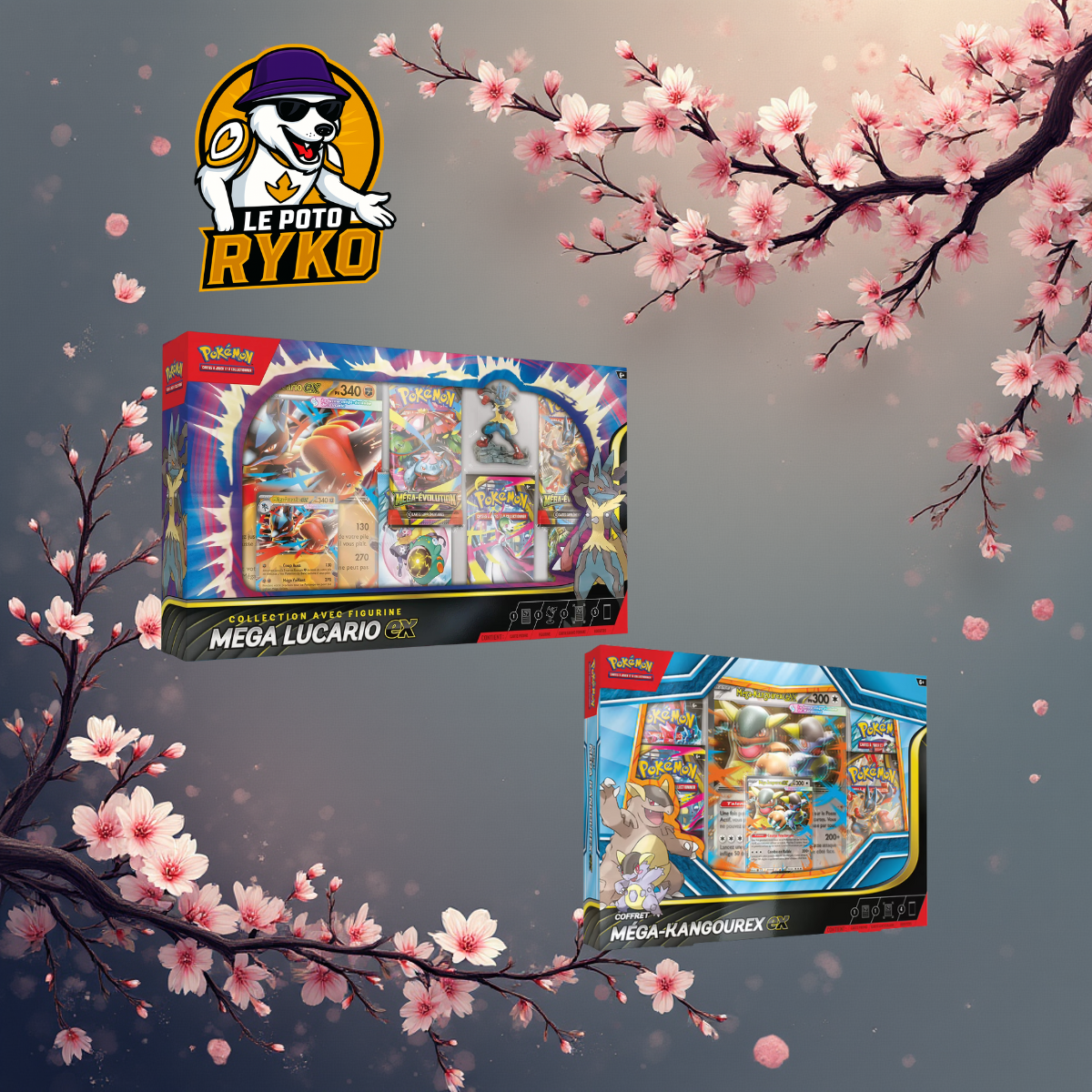 PROMO DE NOEL - Pokemon - Coffret - MKangourex Ex + MLucario ex - FR