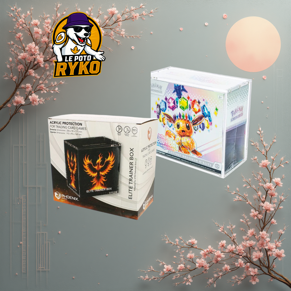 PHOENIX SHIELD - Protection Acrylique - pour ETB - Pokemon