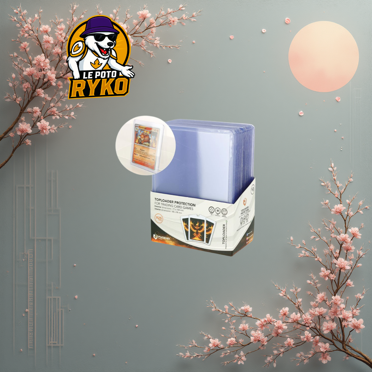 PHOENIX SHIELD - Toploader - 25 pièces