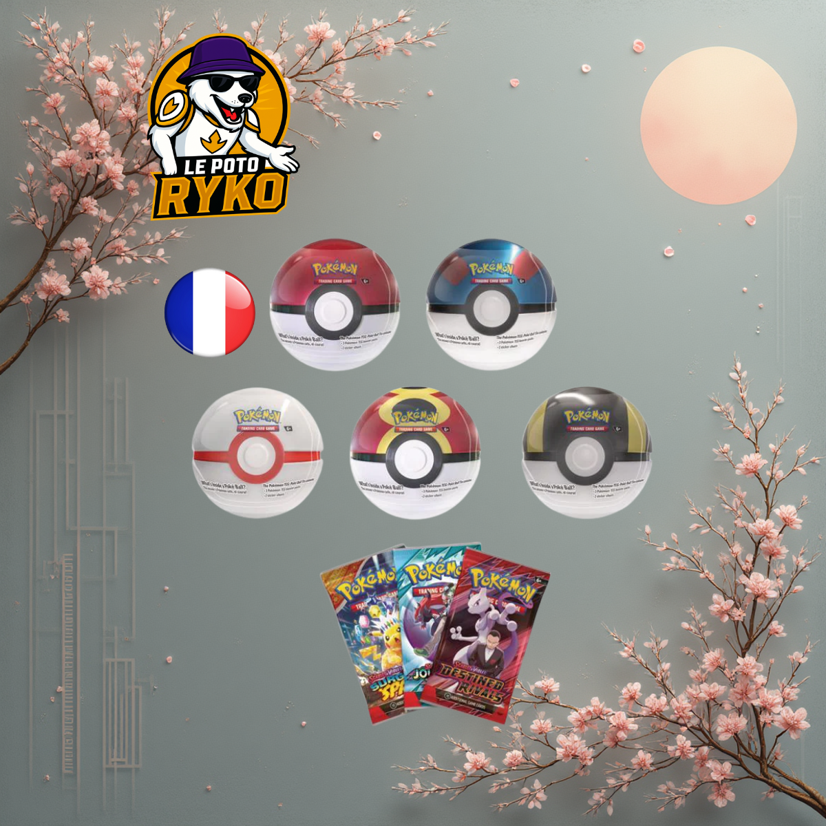 Display Mega Brave - M1L - Japanese