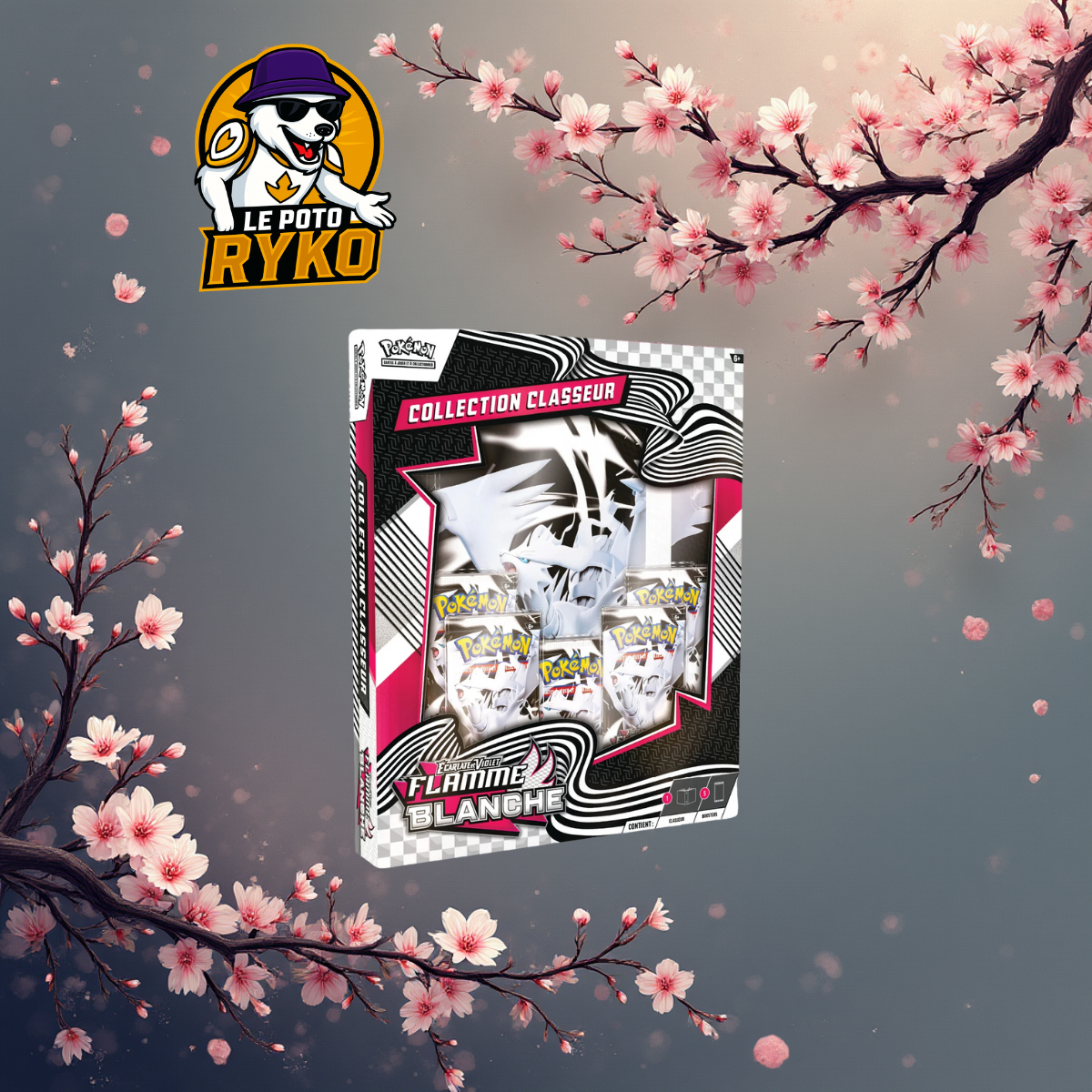 Pokemon - Coffret - 5 boosters - Collection CLASSEUR - V10.5 Ecarlate et Violet - FLAMME BLANCHE