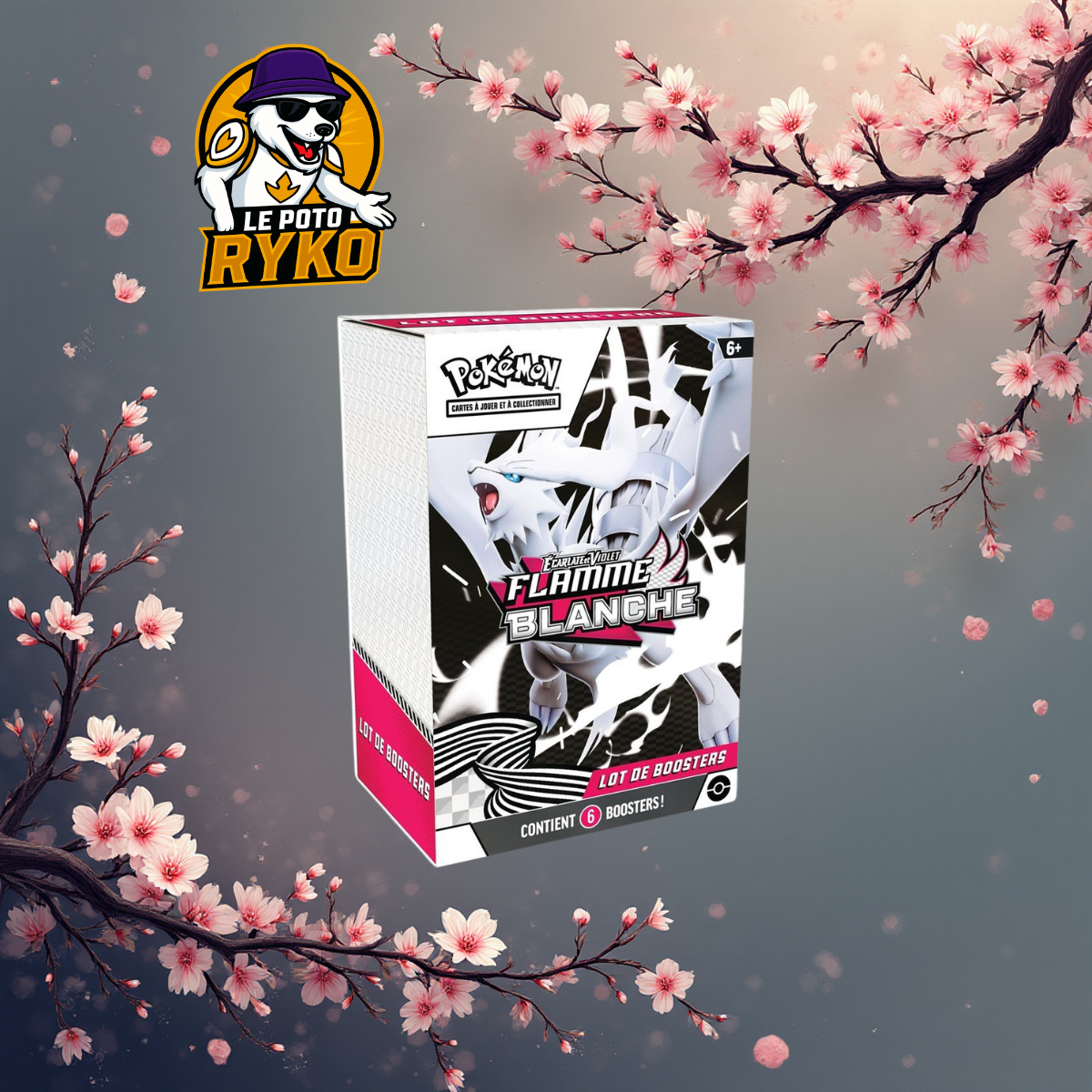 Pokémon - Bundle - Lot de 6 Boosters - EV10.5 - Flamme Blanche