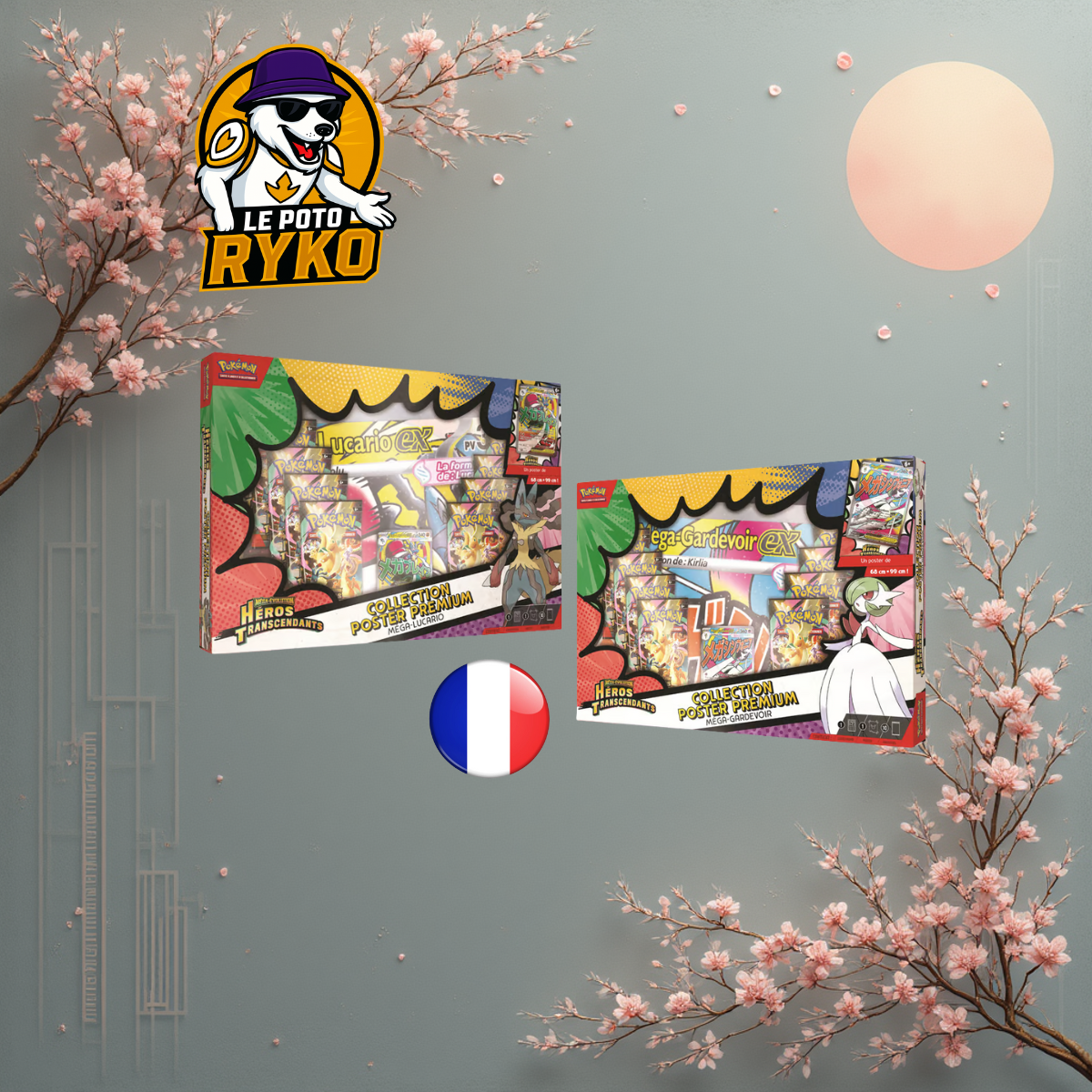 Display Mega Brave - M1L - Japanese