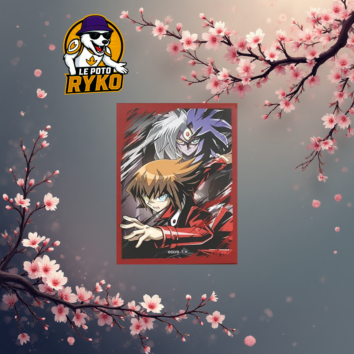 SLEEVE - YU GI OH - Jaden & Yubel x50