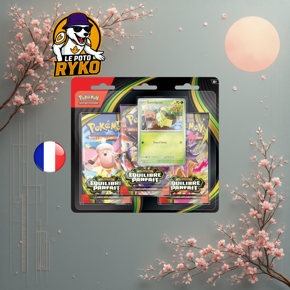 Display Mega Brave - M1L - Japanese