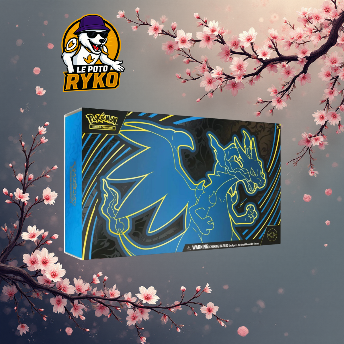 Pokemon - Coffret - 18 boosters - Collection Ultra-Premium - UPC - MEGA DRACAUFEU EX