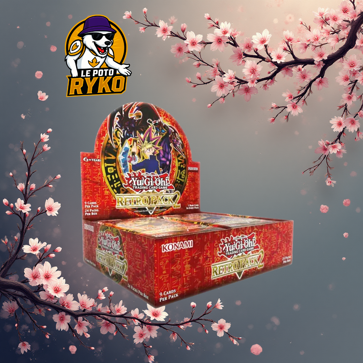 Display 24 booster - One piece - OP-12 - Master and Student Bond - Japanese