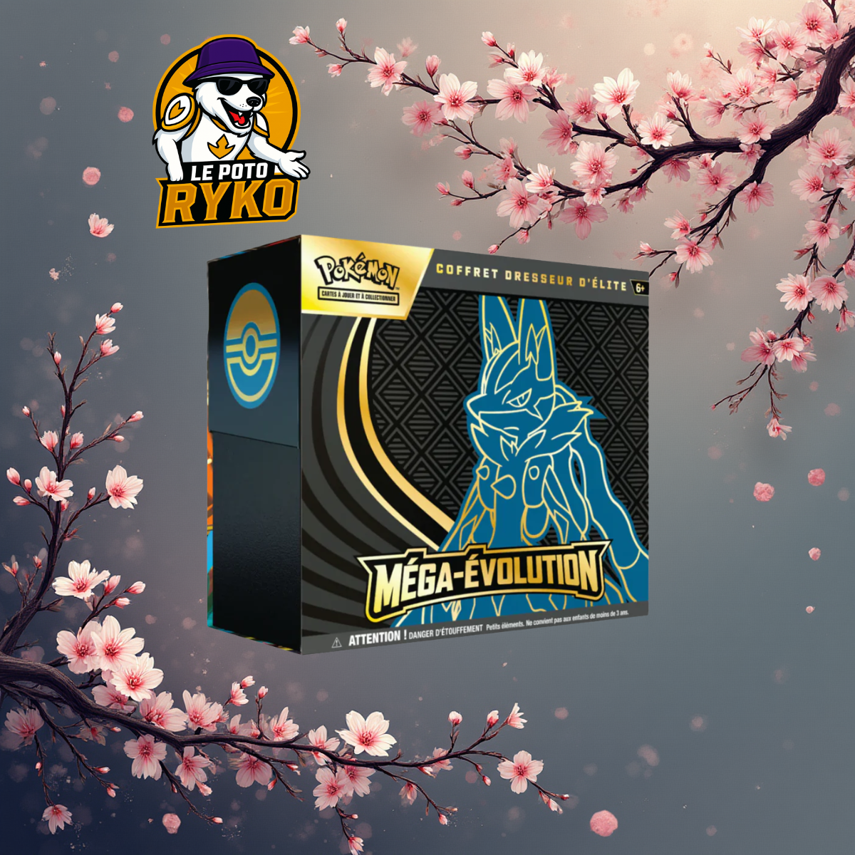 Pokemon - ETB - Méga évolution - Lucario