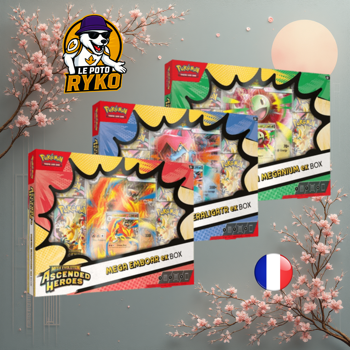 Pokemon - Coffret - 4 boosters - Héros Transcendants - ME2.5 - FRANCAIS - COFFRET X1 (Photo pour imager les variantes)